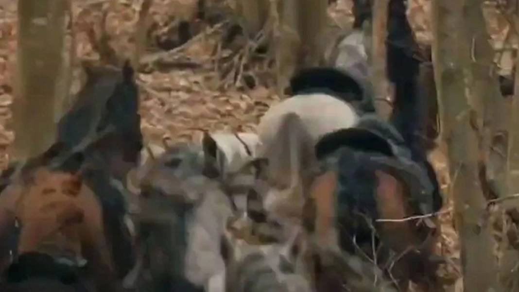 Kuruluş Osman dizisinde gözlerden kaçan sahne şaşkınlık uyandırdı! Gerçek defalarca izleyince ortaya çıktı 11